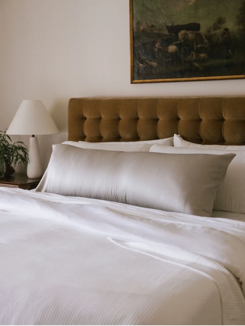 Cozy Earth King Pillow Case Bamboo Viscose Set of 2 Luxury in Light Gray 20x38